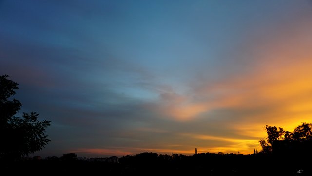 DSC07544b.jpg