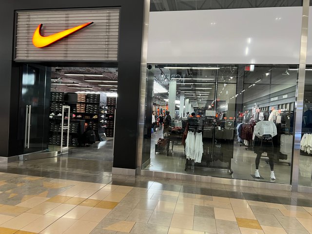 IMG_3303.jpeg