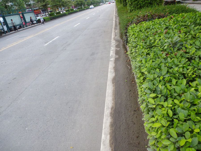 P1050067a.jpg