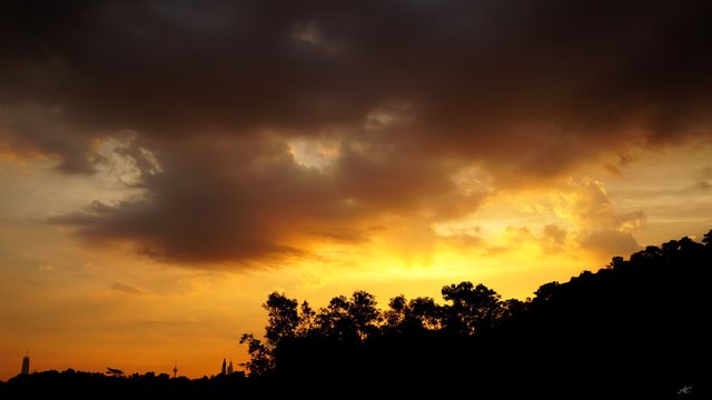 DSC02831b.jpg