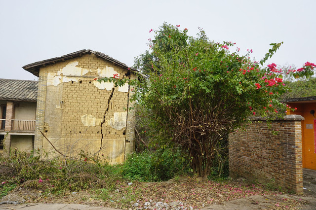 DSC00807a.jpg