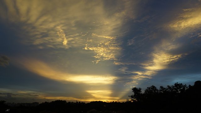 DSC05231b.jpg