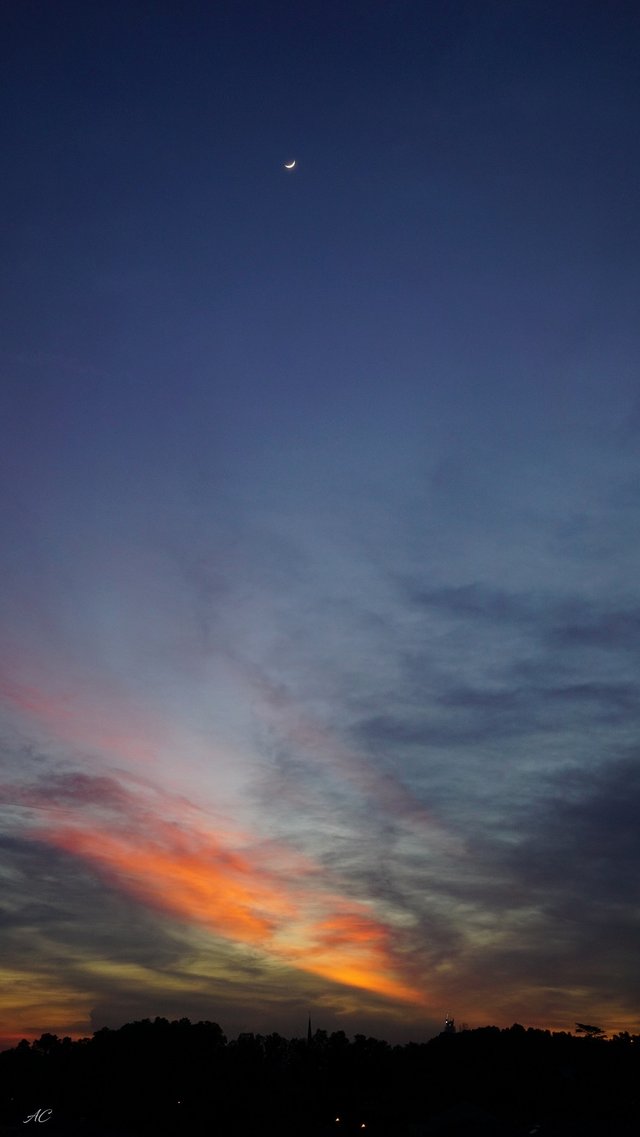 DSC00595b.jpg