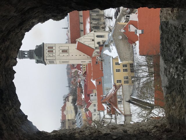 talinn .JPG