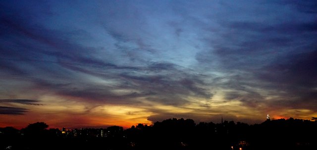 DSC00611b.jpg