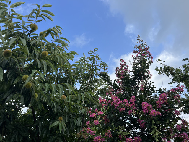 IMG_5074.jpeg