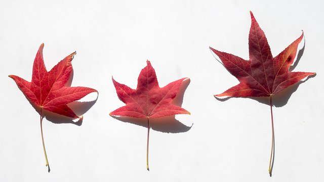 1000-4707.jpg