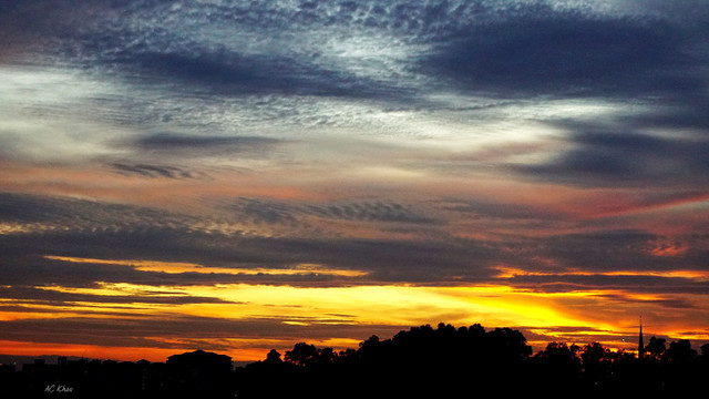 DSC01717b.jpg