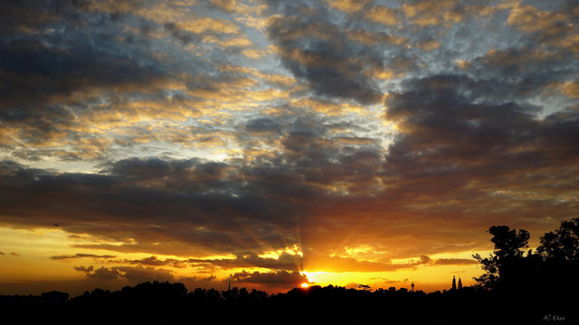 DSC06855b.jpg