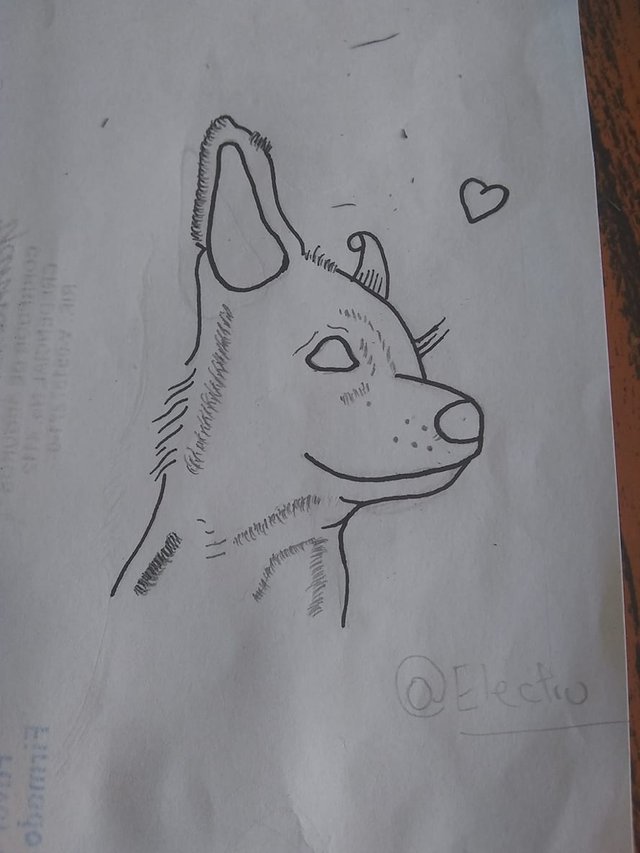 Dog 2.5.jpg