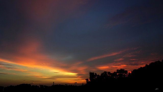 DSC07712b.jpg