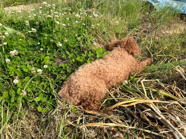 IMG_2820.jpeg