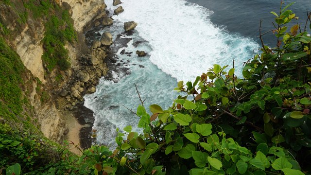 DSC06637b.jpg