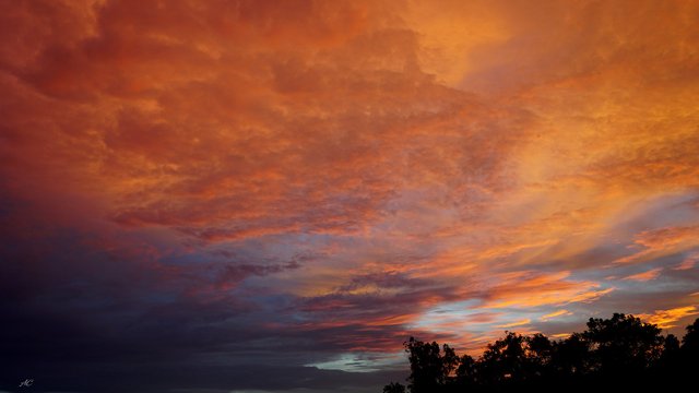 DSC07450b.jpg