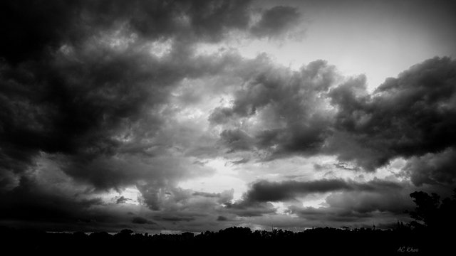 DSC07853c.jpg