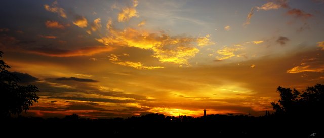 DSC05381b.jpg