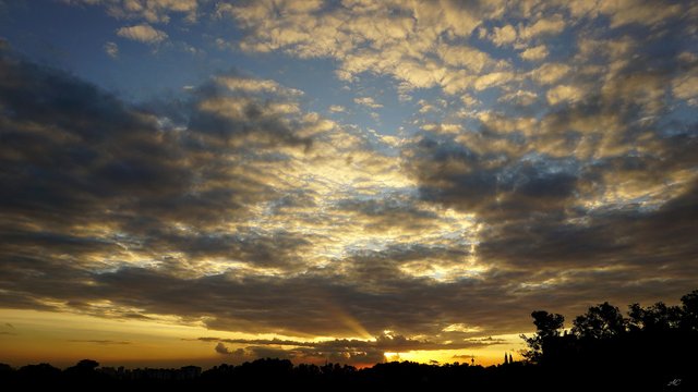 DSC06852b.jpg