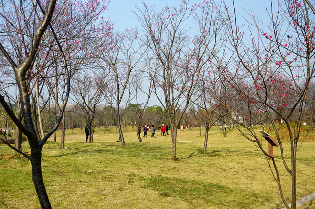 DSC00886a.jpg