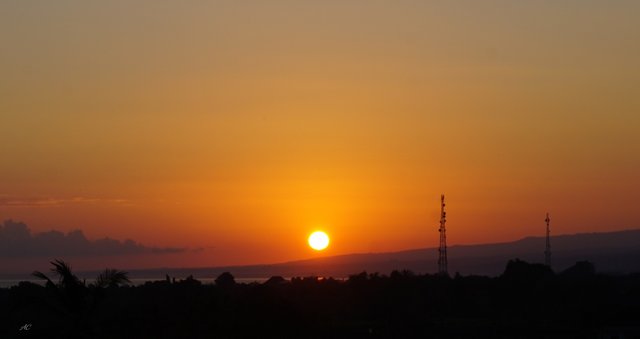DSC04202b.jpg