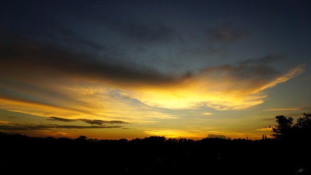 DSC05938b.jpg