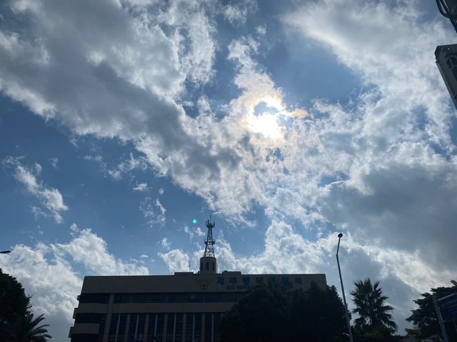 IMG_1198.jpeg