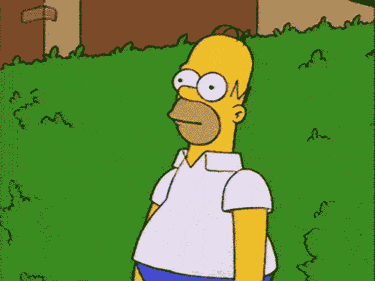 giphy-138.gif
