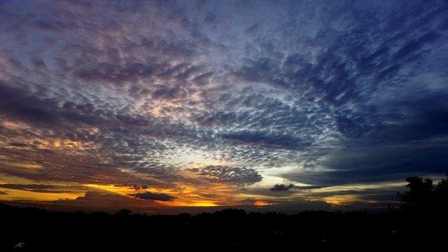 DSC05836b.jpg