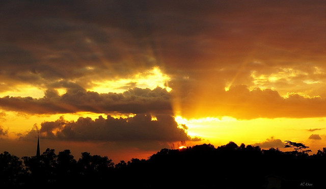 DSC06860b.jpg