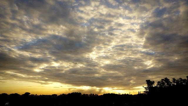 DSC06848b.jpg