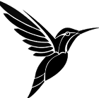 COLIBRI+P.png