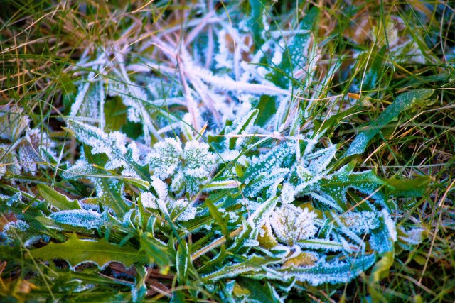 IMG_4104w.jpg