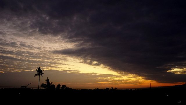DSC03520b.jpg
