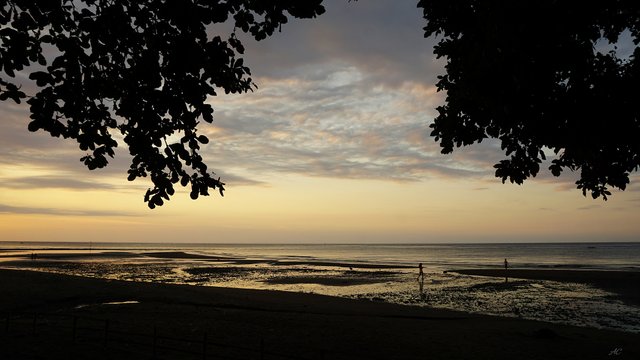 DSC03782b.jpg