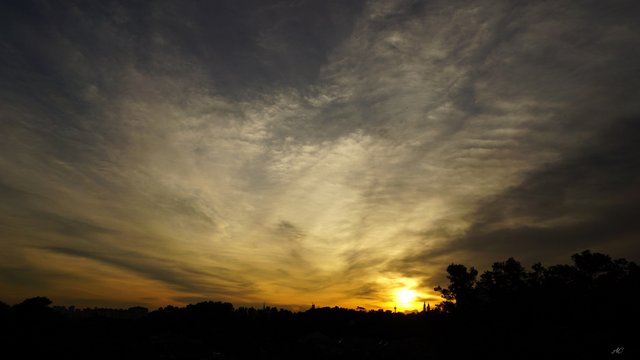 DSC00563b.jpg