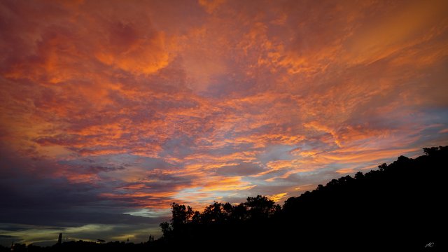 DSC07446b.jpg