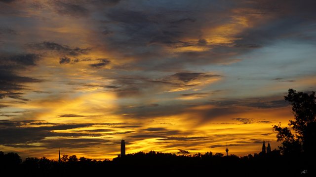 DSC04953b.jpg