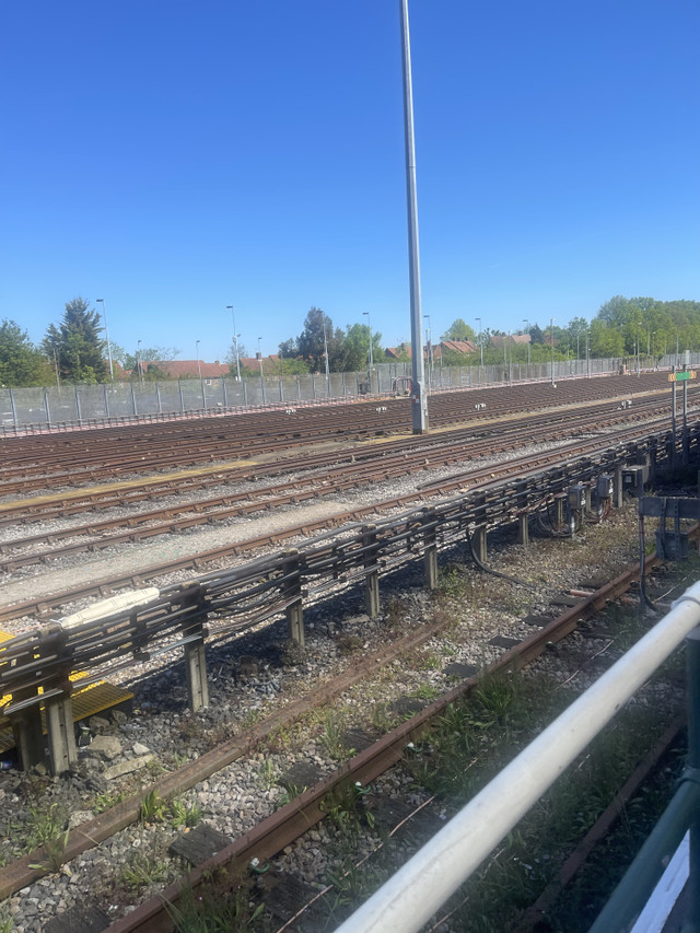 IMG_1073.jpeg