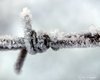 2018-12-05-Hoarfrost-03.jpg