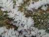 2018-12-05-Hoarfrost-01.jpg