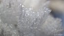 2018-12-05-Hoarfrost-05.jpg
