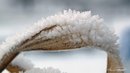 2018-12-05-Hoarfrost-06.jpg