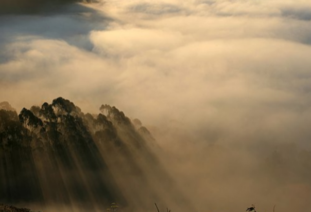 화면 캡처 2022-01-31 235931.png