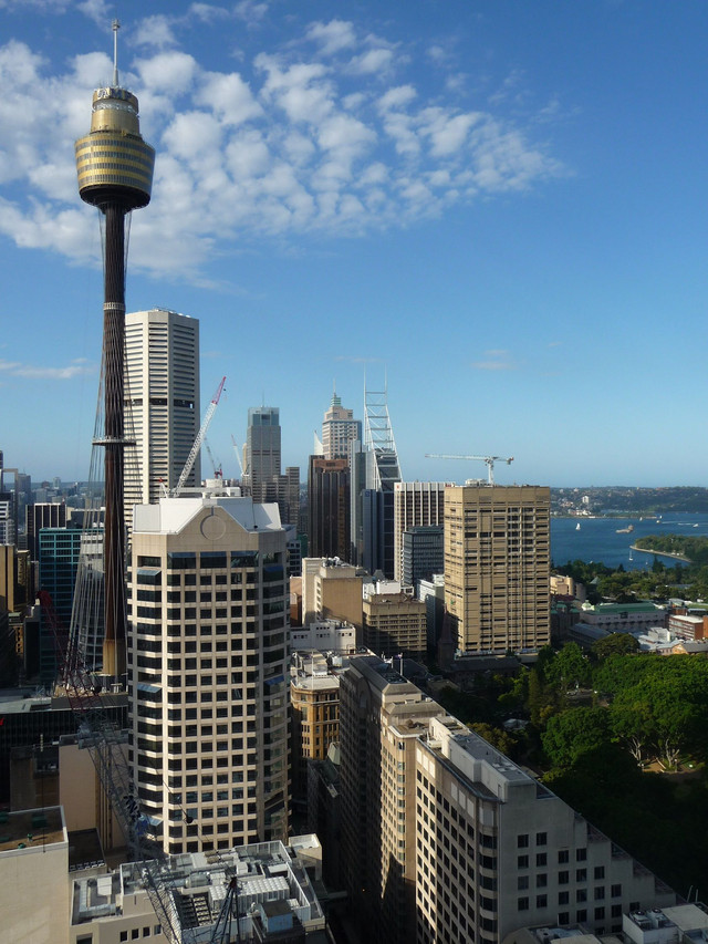 sydney tower