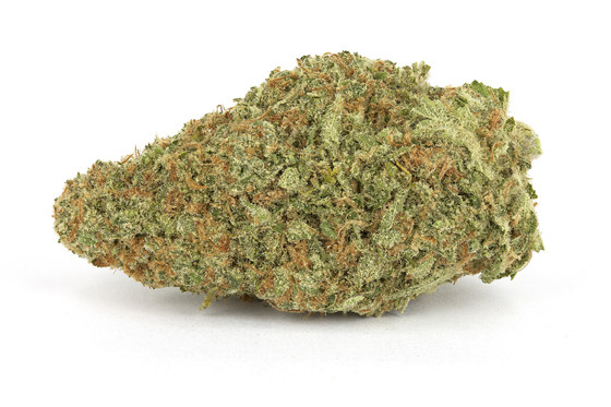 durban-poison-strain.jpg