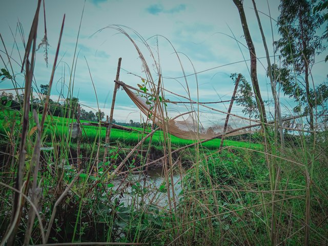 IMG20221003162102_00.jpg