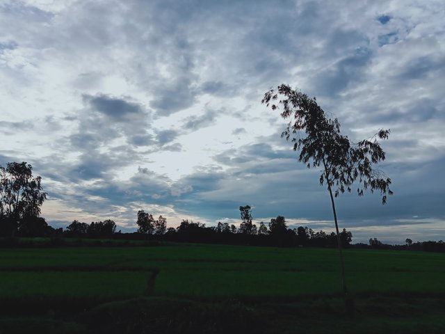 IMG20221003162151_00.jpg