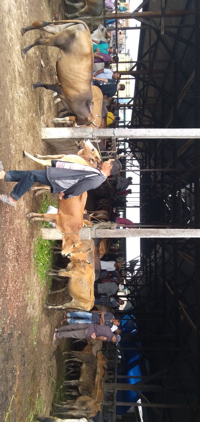 IMG-20210110-WA0000.jpeg
