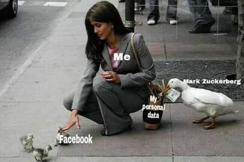 FB_IMG_1525752235520.jpg