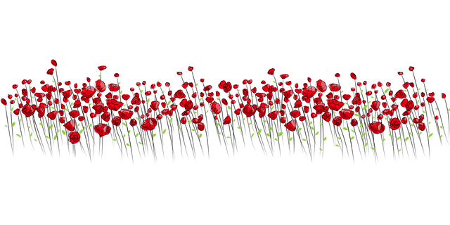 flowers-2755297_1280.png