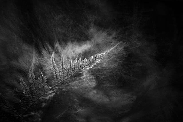 _DSC6551-CHi-2-BW-ST.png